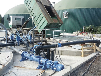 Biogas feedstock
