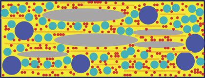 Microstructure of a compressed fiber sheet material