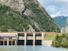 Real-time microbial water treatment control